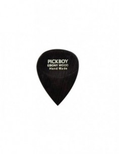 Pickboy GPEB-1